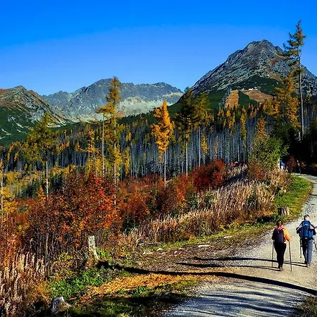 Pod Dlhou Velka Podbanske Chalet Pribylina